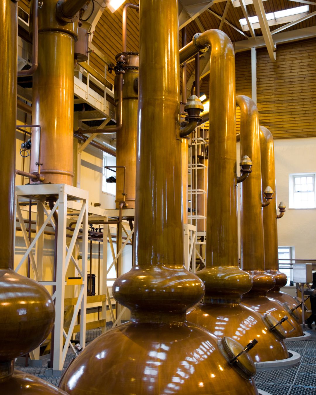 Distillery equipment